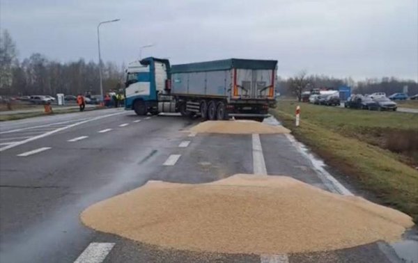 На польских фермеров пожаловались в полицию из-за рассыпанного украинского зерна
На польских фермеров пожаловались в полицию из-за рассыпанного украинского зерна