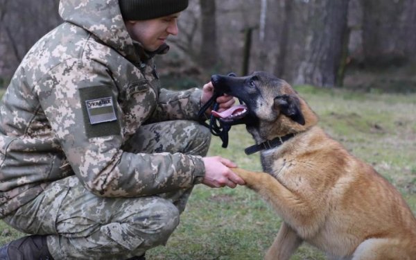 Прикордонники затримали чергових втікачів з України
Прикордонники затримали чергових втікачів з України