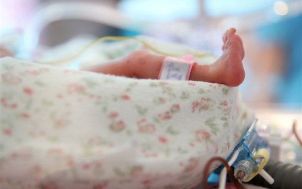 Репродуктивні клітини військових у випадку загибелі не утилізовуватимуть - Рада обіцяє внести зміни до 23 березня - Радуцький
Репродуктивні клітини військових у випадку загибелі не утилізовуватимуть - Рада обіцяє внести зміни до 23 березня - Радуцький