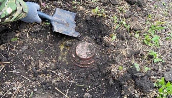 В Україні цьогоріч планують розмінувати понад 5000 квадратних кілометрів сільгоспземель В Україні цьогоріч планують розмінувати понад 5000 квадратних кілометрів сільгоспземель