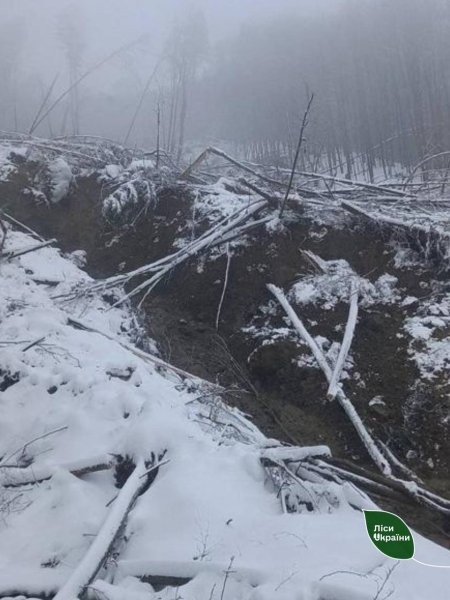 На Закарпатті стався масштабний зсув ґрунту, є загроза для домогосподарств
На Закарпатті стався масштабний зсув ґрунту, є загроза для домогосподарств
