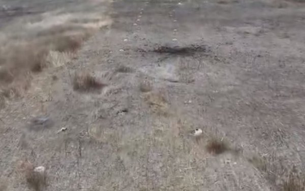 Вибухотехніки виявили мінне поле на Харківщині
Вибухотехніки виявили мінне поле на Харківщині