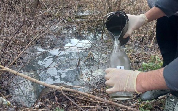 Один з водоканалів Київщині спіймали на скиданні в басейн Росі води з перевищенням вмісту амонію у 78 разів
Один з водоканалів Київщині спіймали на скиданні в басейн Росі води з перевищенням вмісту амонію у 78 разів