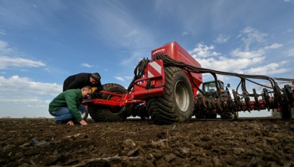 На Херсонщині засіяли озимими культурами майже 70 тисяч гектарів На Херсонщині засіяли озимими культурами майже 70 тисяч гектарів