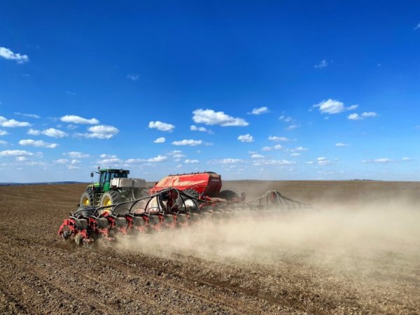 Урожай-2024: попередні прогнози Урожай-2024: попередні прогнози