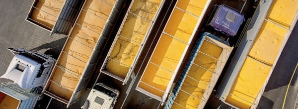 Як ефективніше витискати Росію зі світових ринків Як ефективніше витискати Росію зі світових ринків