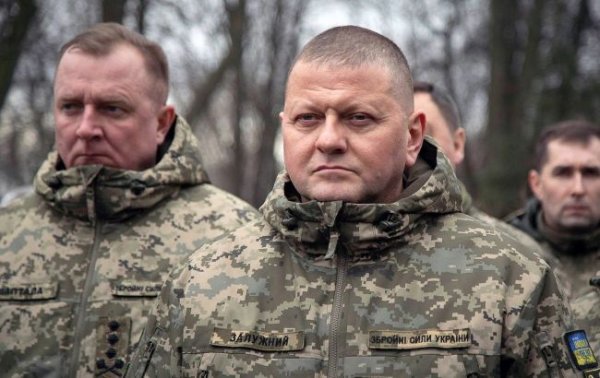 Залужный рассказал о ситуации на фронте после поездки под Купянск (видео)
Залужный рассказал о ситуации на фронте после поездки под Купянск (видео)