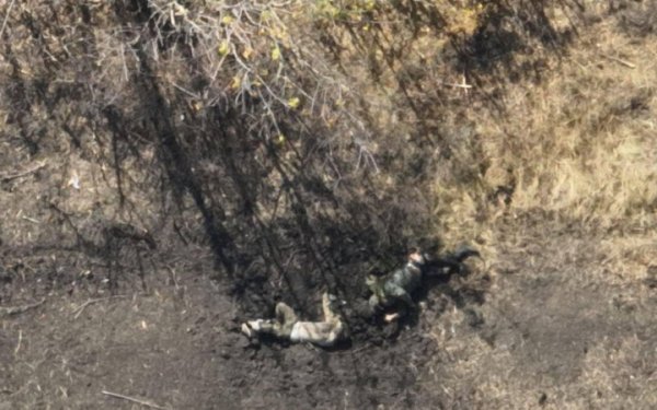 ЗСУ за добу ліквідували 42 ворожі бойові броньовані машини, &ndash; Генштаб
                                
