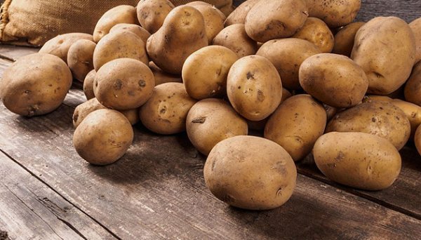 В Україні картопля подорожчала за тиждень на 11% - EastFruit В Україні картопля подорожчала за тиждень на 11% - EastFruit