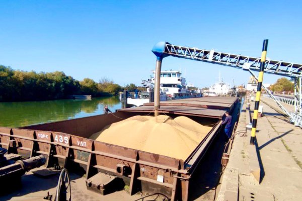 Кордон з Польщею скоро може закритися для торгівлі. Але в України є “план Б” Кордон з Польщею скоро може закритися для торгівлі. Але в України є “план Б”