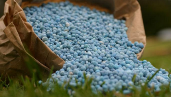 Аграрії просять уряд вирішити питання із блокуванням добрив на українській митниці Аграрії просять уряд вирішити питання із блокуванням добрив на українській митниці