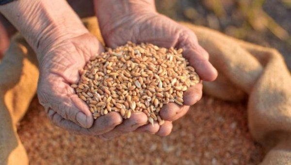 USAID АГРО надасть українським підприємствам до 270 мільйонів на розвиток елеваторних потужностей USAID АГРО надасть українським підприємствам до 270 мільйонів на розвиток елеваторних потужностей