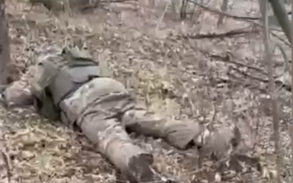 На Таврійському напрямку українські військові знищили майже 500 окупантів
На Таврійському напрямку українські військові знищили майже 500 окупантів