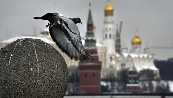 У Росії мало інструментів, щоб протидіяти конфіскації заморожених активів - ОП У Росії мало інструментів, щоб протидіяти конфіскації заморожених активів - ОП
