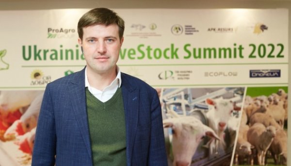 Експорт українського меду до Китаю є підтвердженням якості для інших ринків - Висоцький Експорт українського меду до Китаю є підтвердженням якості для інших ринків - Висоцький