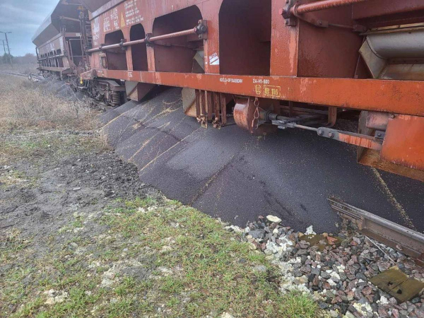 У Польщі висипали ріпак із вагонів "Укрзалізниці" (фото) У Польщі висипали ріпак із вагонів "Укрзалізниці" (фото)