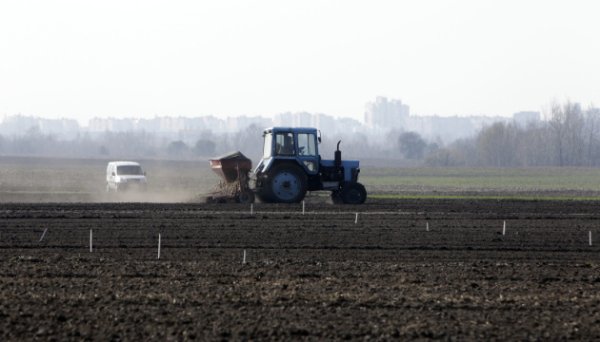 В Україні стартувала посівна ярих культур В Україні стартувала посівна ярих культур