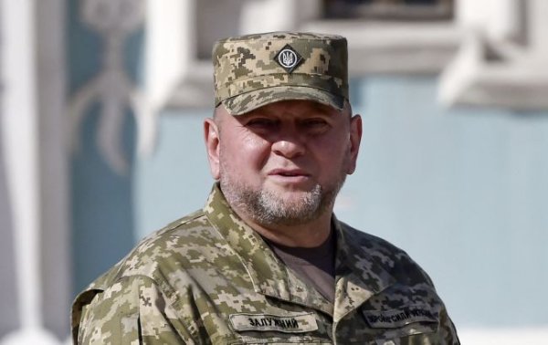 Залужный сделал заявление после увольнения и получения звания Героя
Залужный сделал заявление после увольнения и получения звания Героя