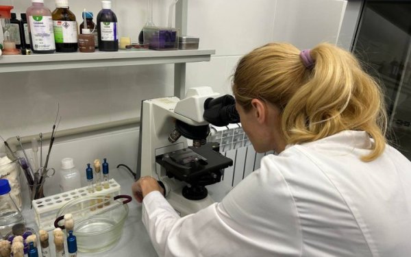 Міноборони вдвічі збільшить кількість робочих груп для перевірки продуктів
Міноборони вдвічі збільшить кількість робочих груп для перевірки продуктів