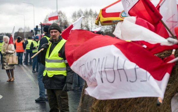 Варшава хочет расширить запрет на украинский импорт. Киев - против
Варшава хочет расширить запрет на украинский импорт. Киев - против