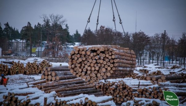 «Ліси України» продаватимуть надлишки паливної деревини іноземним покупцям «Ліси України» продаватимуть надлишки паливної деревини іноземним покупцям