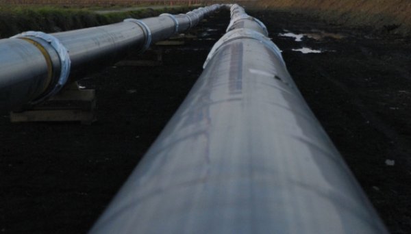 На сайті Укртранснафти немає інформації про умови користування нафтопроводами - експерти На сайті Укртранснафти немає інформації про умови користування нафтопроводами - експерти