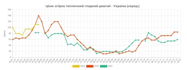 В Україні знизились ціни на тепличні огірки - EastFruit В Україні знизились ціни на тепличні огірки - EastFruit