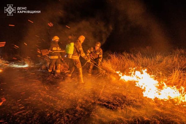 Под Харьковом едва не сгорело село: пожар тушили 13 часов. Поджигателей травы просят опомниться Под Харьковом едва не сгорело село: пожар тушили 13 часов. Поджигателей травы просят опомниться