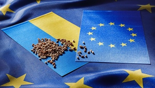 У ЄС відклали голосування щодо імпорту української агропродукції - ЗМІ У ЄС відклали голосування щодо імпорту української агропродукції - ЗМІ