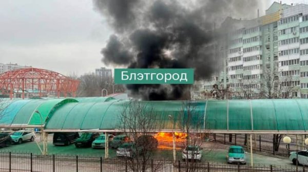 Школьников Белгорода и некоторых районов переводят на дистанционное обучение "из-за обстрелов" Школьников Белгорода и некоторых районов переводят на дистанционное обучение "из-за обстрелов"