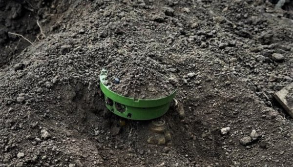 На деокупованій Херсонщині розмінували 40% сільгоспугідь На деокупованій Херсонщині розмінували 40% сільгоспугідь