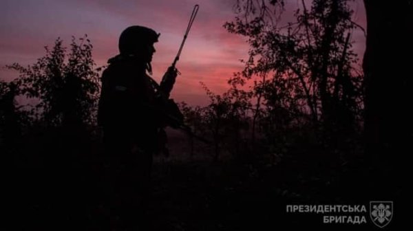 Силы обороны отразили более 20 атак на Новопавловском направлении – Генштаб Силы обороны отразили более 20 атак на Новопавловском направлении – Генштаб