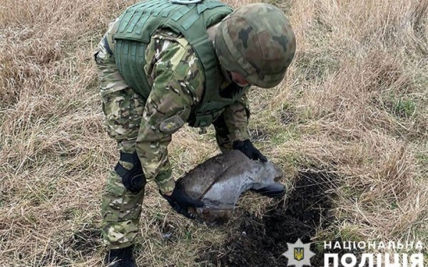 В Києві вибухотехніки вилучили бойову частину ракети
В Києві вибухотехніки вилучили бойову частину ракети