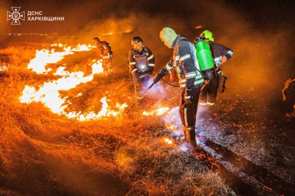 Под Харьковом едва не сгорело село: пожар тушили 13 часов. Поджигателей травы просят опомниться Под Харьковом едва не сгорело село: пожар тушили 13 часов. Поджигателей травы просят опомниться