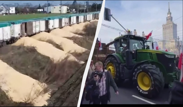 В ЄС придумали, як заспокоїти європейських фермерів, невдоволених українським зерном В ЄС придумали, як заспокоїти європейських фермерів, невдоволених українським зерном