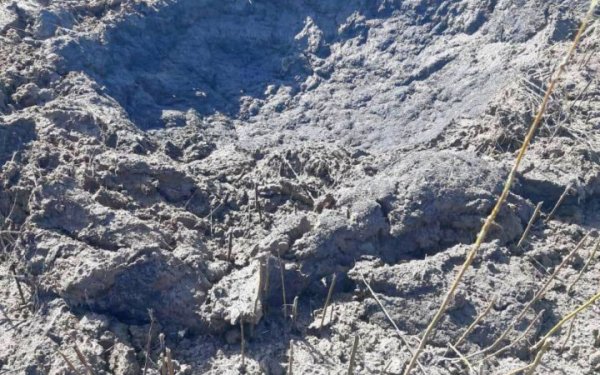 Ворог здійснив понад 340 ударів по Запорізькій області, постраждала дитина
Ворог здійснив понад 340 ударів по Запорізькій області, постраждала дитина