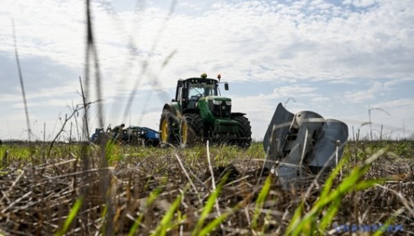 На Донеччині посівні площі після 24 лютого 2022 року зменшилася втричі - ОВА На Донеччині посівні площі після 24 лютого 2022 року зменшилася втричі - ОВА