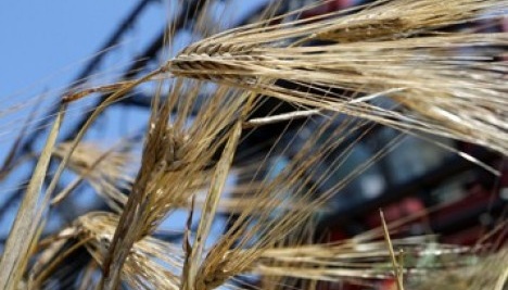 Євросоюз погодив обмеження на імпорт української агропродукції Євросоюз погодив обмеження на імпорт української агропродукції