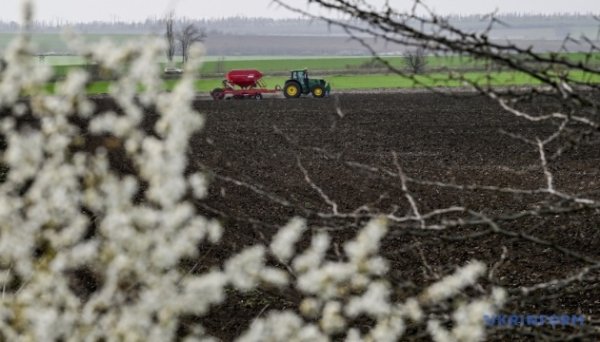 Українські фермери можуть замовити перевірку стану ґрунтів Українські фермери можуть замовити перевірку стану ґрунтів