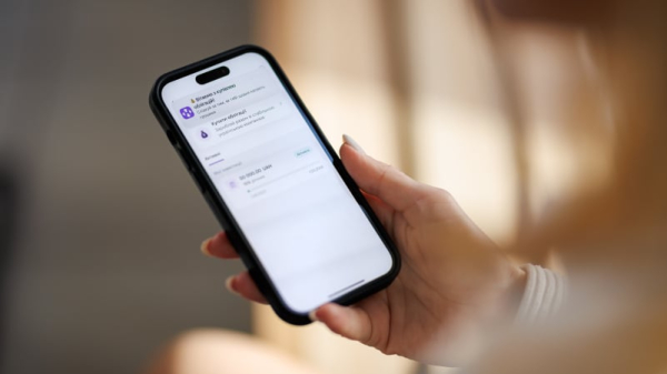 NovaPay разместил очередные выпуски облигаций — серии D, E и F
NovaPay разместил очередные выпуски облигаций — серии D, E и F