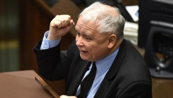 Качинський: Відкриття кордону на імпорт з України знищить сільське господарство Польщі Качинський: Відкриття кордону на імпорт з України знищить сільське господарство Польщі