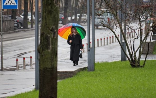 До +26, но будет дождливо: какой будет погода в Украине завтра
До +26, но будет дождливо: какой будет погода в Украине завтра