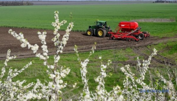 Українські аграрії вже засіяли понад чотири мільйони гектарів ярих культур Українські аграрії вже засіяли понад чотири мільйони гектарів ярих культур