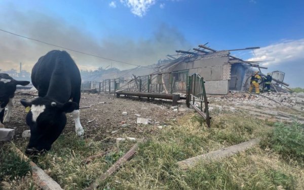 Росіяни зруйнували на Харківщині фермерське господарство
Росіяни зруйнували на Харківщині фермерське господарство
