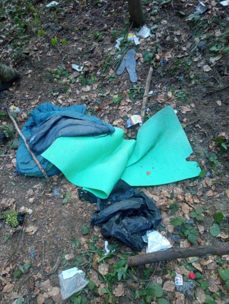 У лісах поблизу румунського кордону побільшало ведмедів
У лісах поблизу румунського кордону побільшало ведмедів