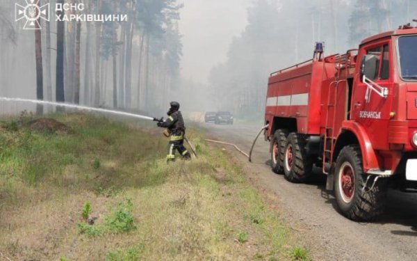 Обстріли прикордоння Харківщини спровокували низову лісову пожежу на площі 5 га
Обстріли прикордоння Харківщини спровокували низову лісову пожежу на площі 5 га