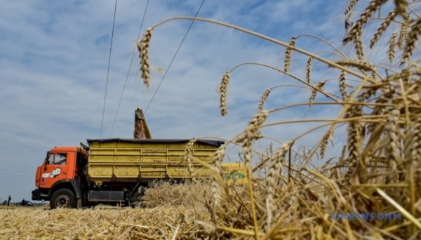 У міністерстві пояснили, чому не прийматимуть заявки від аграріїв з деокупованих територій У міністерстві пояснили, чому не прийматимуть заявки від аграріїв з деокупованих територій