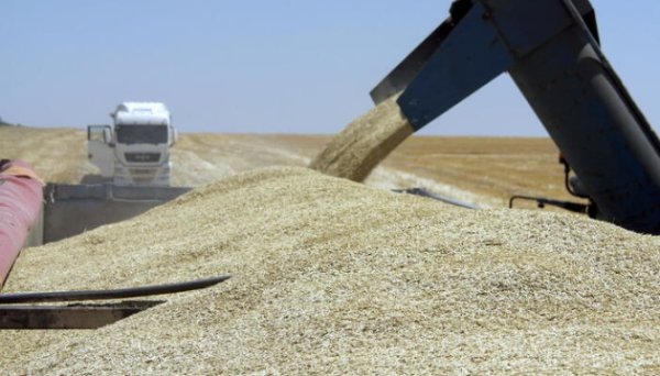 Росія привласнила понад 1 700 тонн українського зерна та агропродукції Росія привласнила понад 1 700 тонн українського зерна та агропродукції