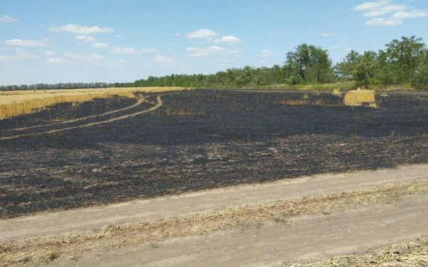 На Херсонщині через російські обстріли горіли поля із збіжжям
На Херсонщині через російські обстріли горіли поля із збіжжям