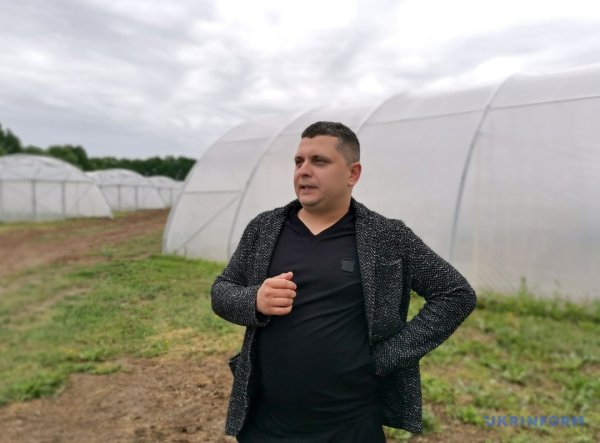Грушеві сади і теплиці з суницею. Як допомагають державні гранти Грушеві сади і теплиці з суницею. Як допомагають державні гранти